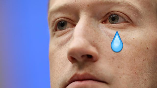 zuckcry